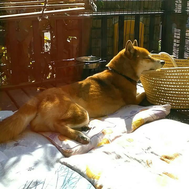 4c6ee2ef f5b0 4763 a123 0ce7127a0179 1551760131464