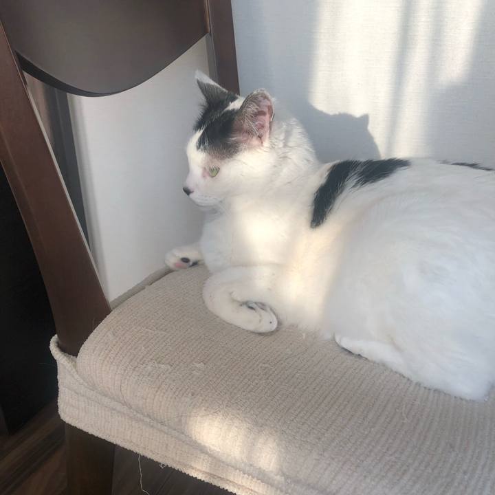 4c6ee394 cb46 4b07 b595 827fdd0b2c97 1584863886899