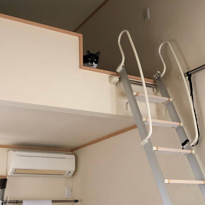 4c6efd33 9bb0 42b9 9b7e 031cd0f2cccf 1554495713363