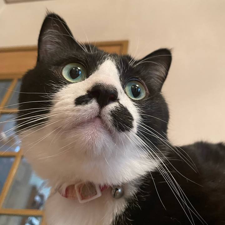 4c6f0883 0329 47ba b968 80339c15d26b 1674350841777