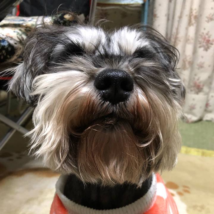 4c6f1007 b6b0 456f 86f2 eab929cc771b 1550271697354