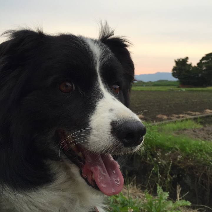 4c6f2451 e24e 4551 bf06 c72223b32377 1528972773862