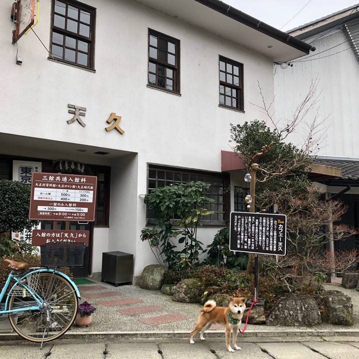 4c6f8e7c f641 4fe5 89da f7cbb7bb297b 1547202991290