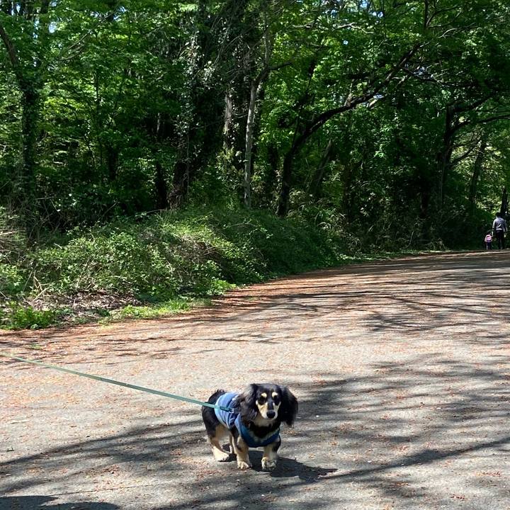 4c6fb7dd 3849 4edd 85f6 be44aa628e5e 1681018950791