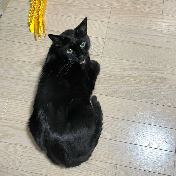 4c6fc7ac 765f 4f7b b435 a5b8211caf2e 1716372839933