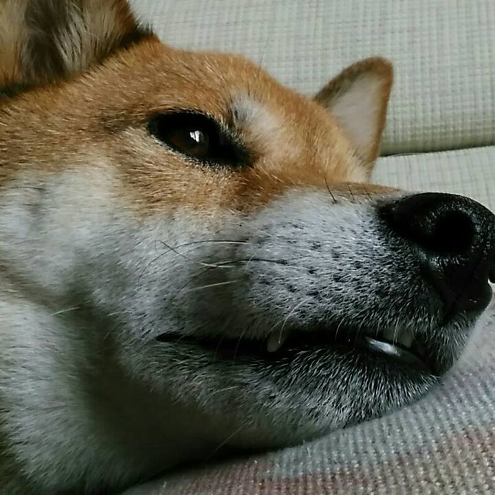 4c6fcaa2 f0fc 4cd7 a8a6 21bc9b91b1c2 1570005980062