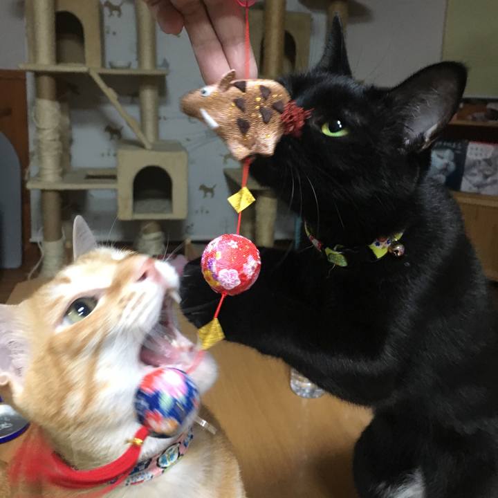 4c6fce36 31d1 4907 b9c4 25b879cd2a04 1542980296604