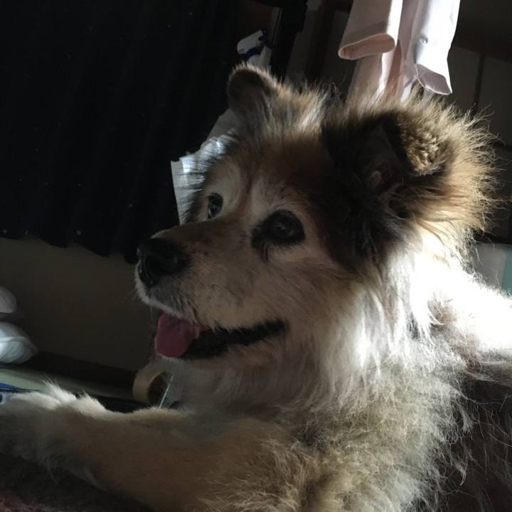 4c6fe9df c878 4460 bb62 1181b4a9f365 1642147592870