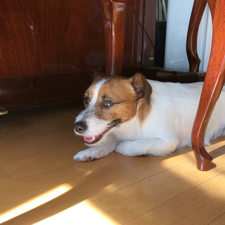 4c6ff8f0 9b85 43e3 9c73 62a2127458ed 1519903697173