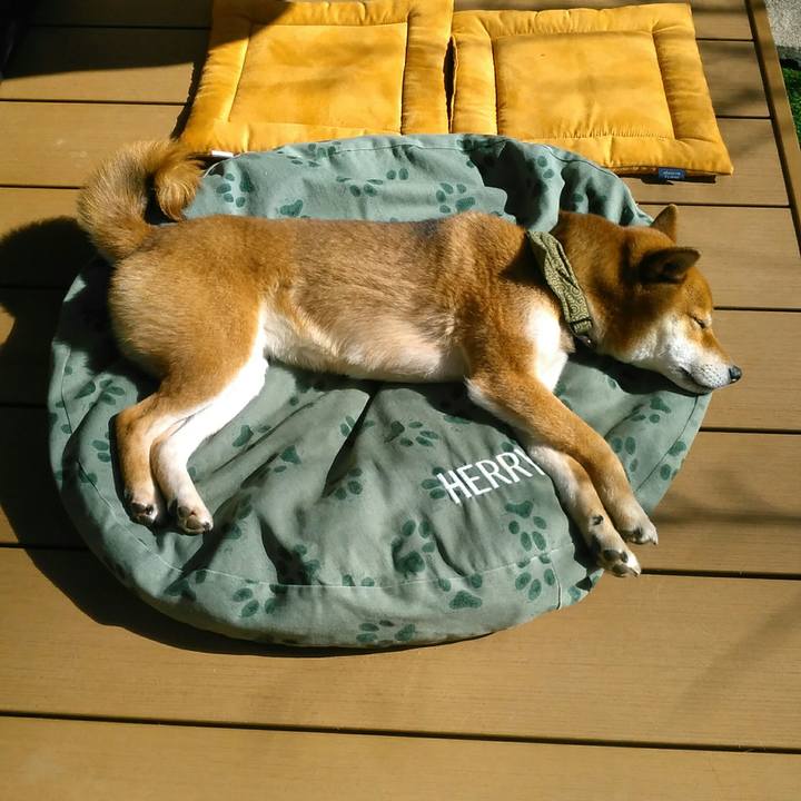 4c6ff9b1 2178 4457 b6f8 5e8663c2bb47 1518058250692