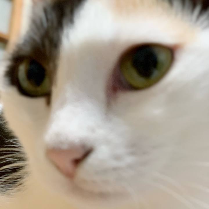 4c700e99 3cdf 44eb a68d 184ff7dc28a7 1538446534409