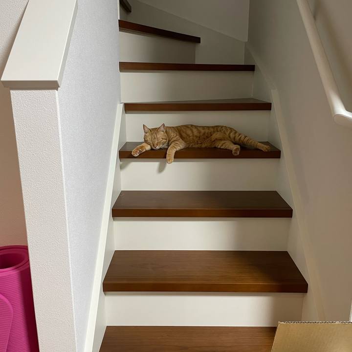 4c701281 5b15 44bf 9d54 d25ab451ed02 1728609617923