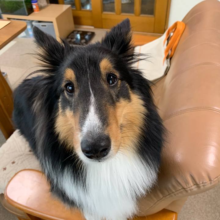 4c7032d3 a8c9 4d09 a3ba c02eca6c7c5d 1559344604307