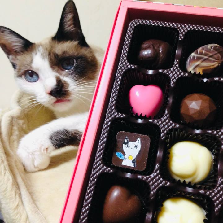 4c7075d2 f055 4f68 847e 498ea23e4b9d 1737413298214