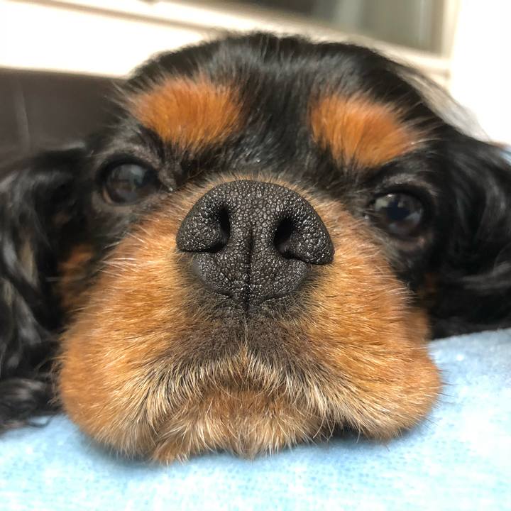 4c708a1e da48 4668 8950 01f84ae394f1 1549890848385