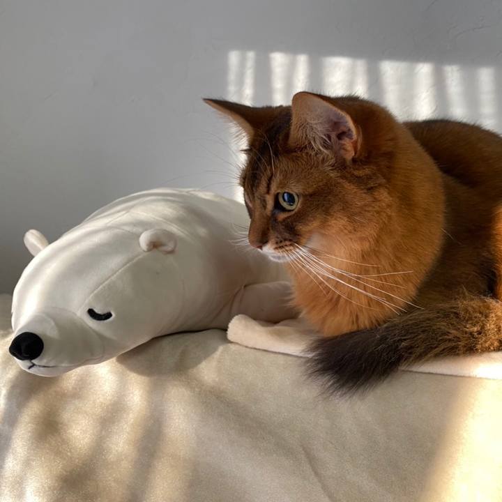 4c70b2e5 c12e 4a8f 977d d43da0f0d594 1638321552188