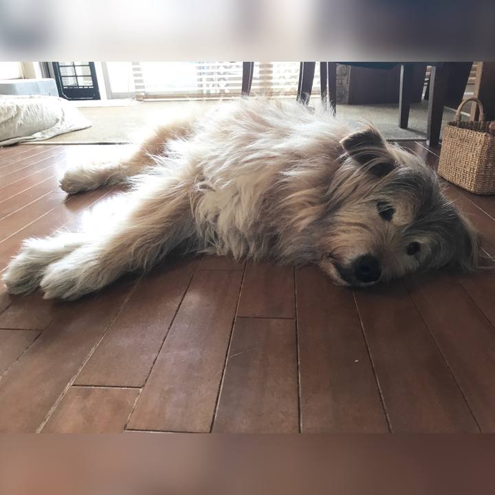 4c70df56 e998 4b55 8669 b0bf41717fd1 1653720399556