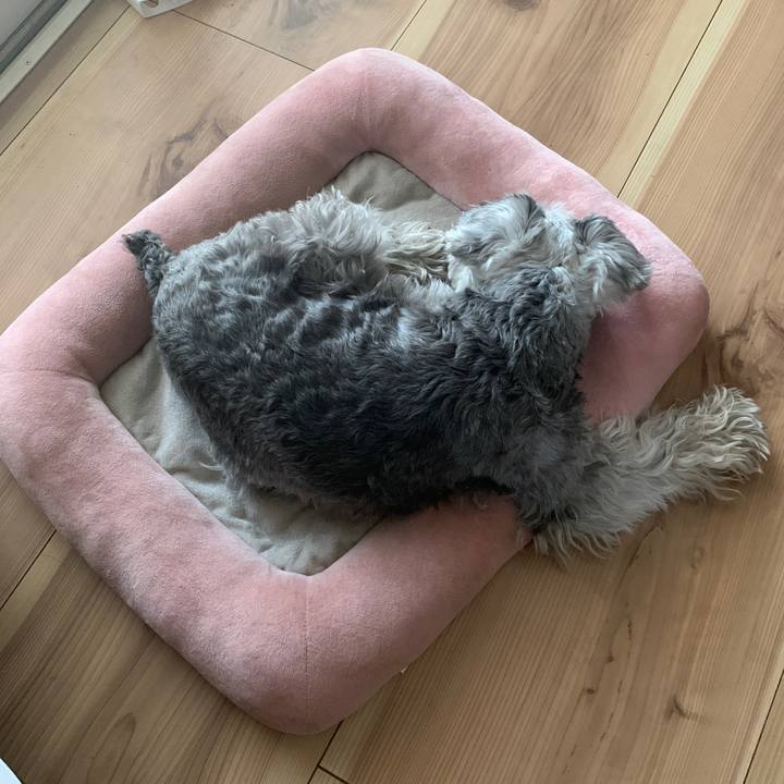 4c70e4f5 2f93 4583 8afc d3ca55ddf6c6 1649740061865