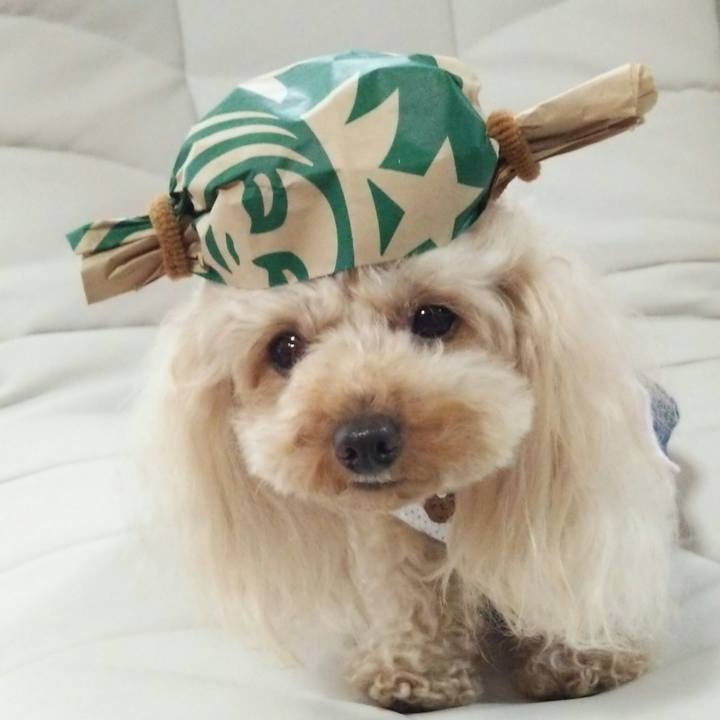 4c713d9d d72a 4cc7 9e37 cf367e9854d1 1528706242055