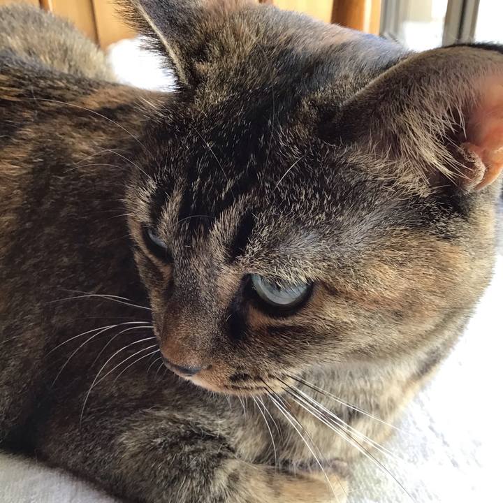 4c715f91 4717 4a02 81ef a8e12624b37c 1692785271125