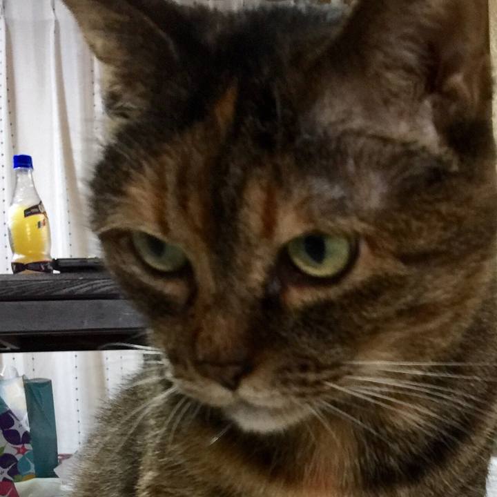 4c718463 7cdc 4e35 b7c0 8e17fd2f77ea 1547870478106