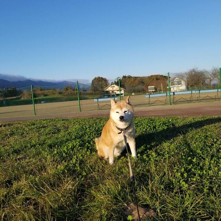 4c718b64 512b 4514 bd6d 2a29c7fcc2c8 1699426327809