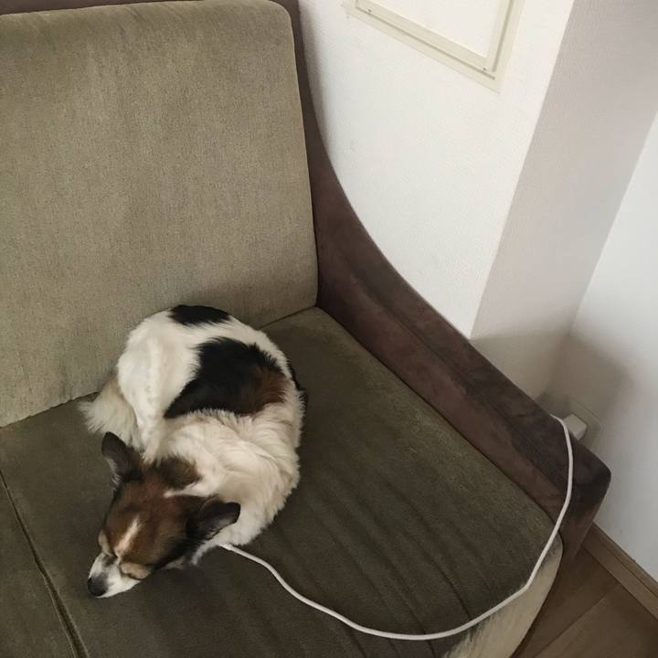 4c71a3e1 0146 4644 8836 bd18efae63e1 1655616874855