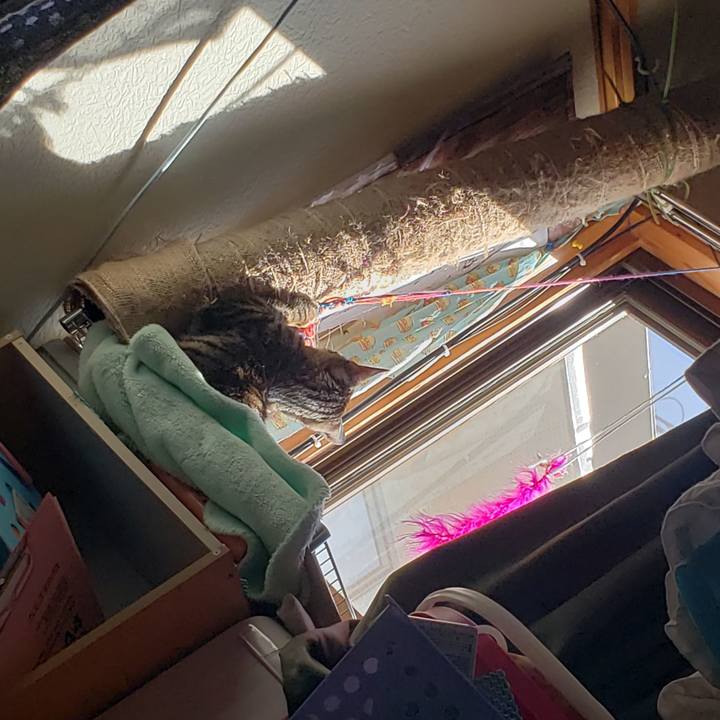 4c71f575 3089 4071 adcc f827c5a9c575 1542327594814