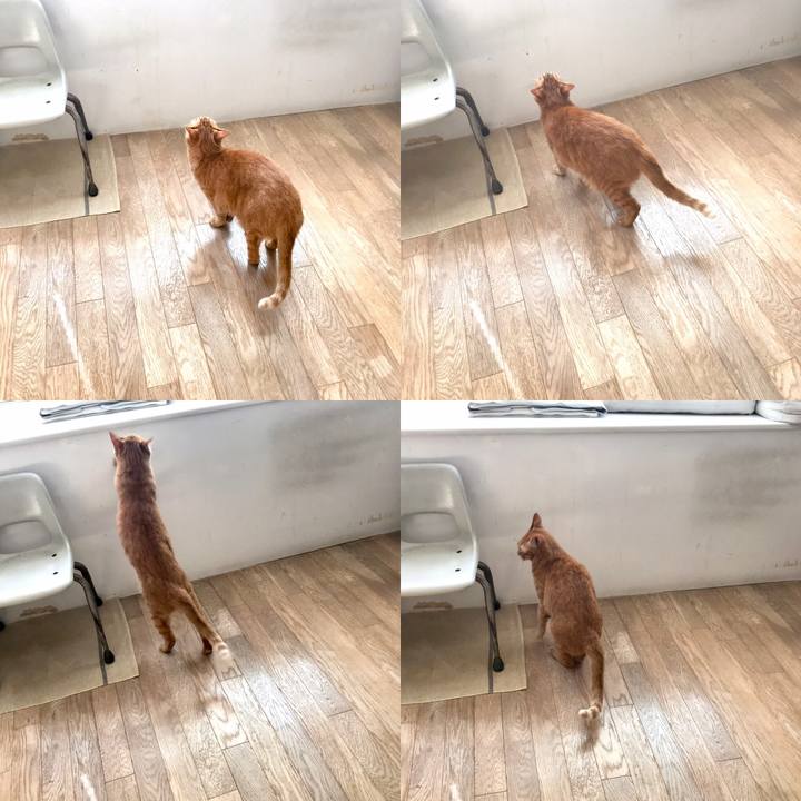 4c71f89a dd3c 4fca 8039 ee0ec53418ab 1540780988713