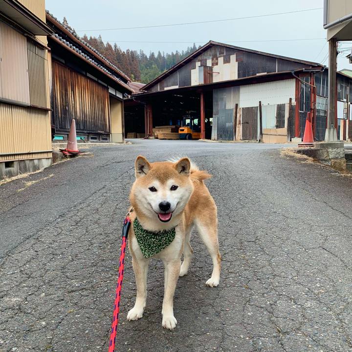 4c722138 ee9e 4db3 a597 75582db8a7ca 1647166759133