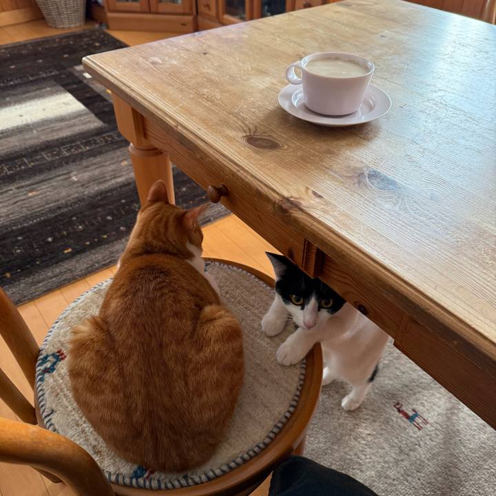 4c72d9e1 f7e8 4946 89a4 032a76d4303f 1771983777844