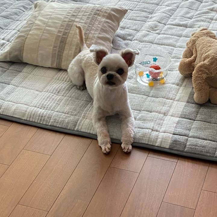 4c72e00c 47b4 4f30 8892 160b10da65cb 1728717320032