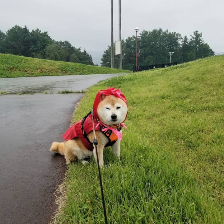 4c73149d 49ab 4099 9b86 fd42bb76a961 1684474193823