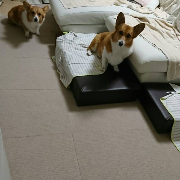 4c731864 0217 4bb8 b221 1c3985eb0434 1510127518389