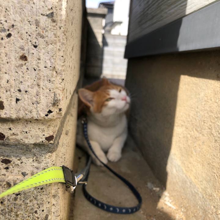 4c7330c0 da65 48b1 b129 9e7faecde0df 1553001027293