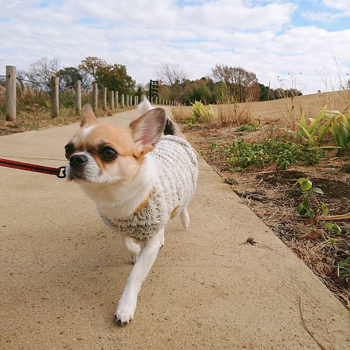 4c733658 cbef 443a a50c c4e7ce305fd7 1607253236945