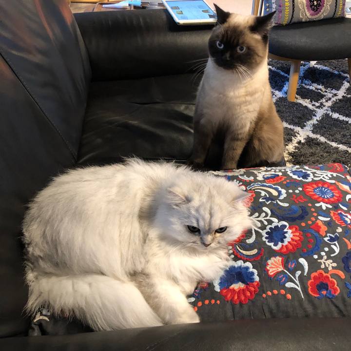 4c734422 132f 49df bd1c d69a924483d2 1608523382005