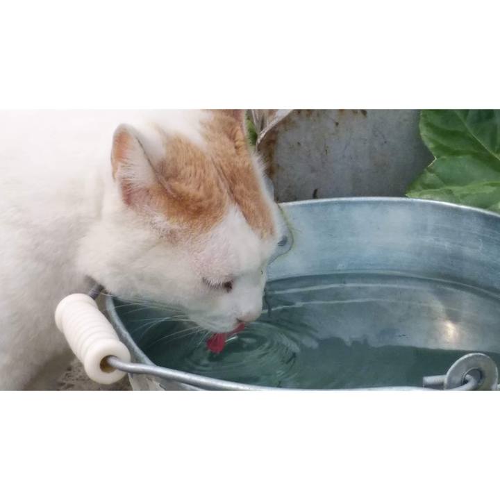 4c735d66 51c7 425a aa68 5ee47df18f97 1653038759702