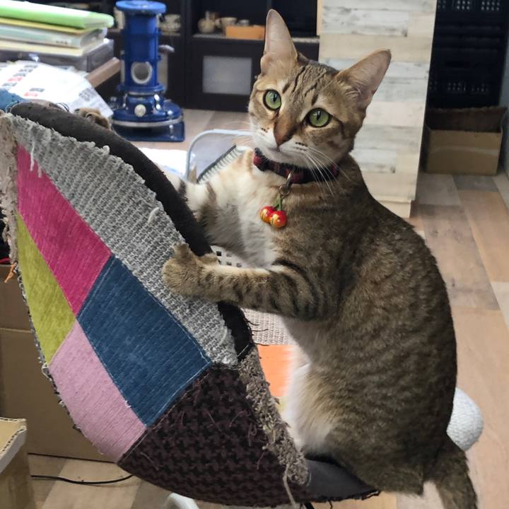 4c73707f 042c 4862 8ad5 cb8f67e46699 1643783588140