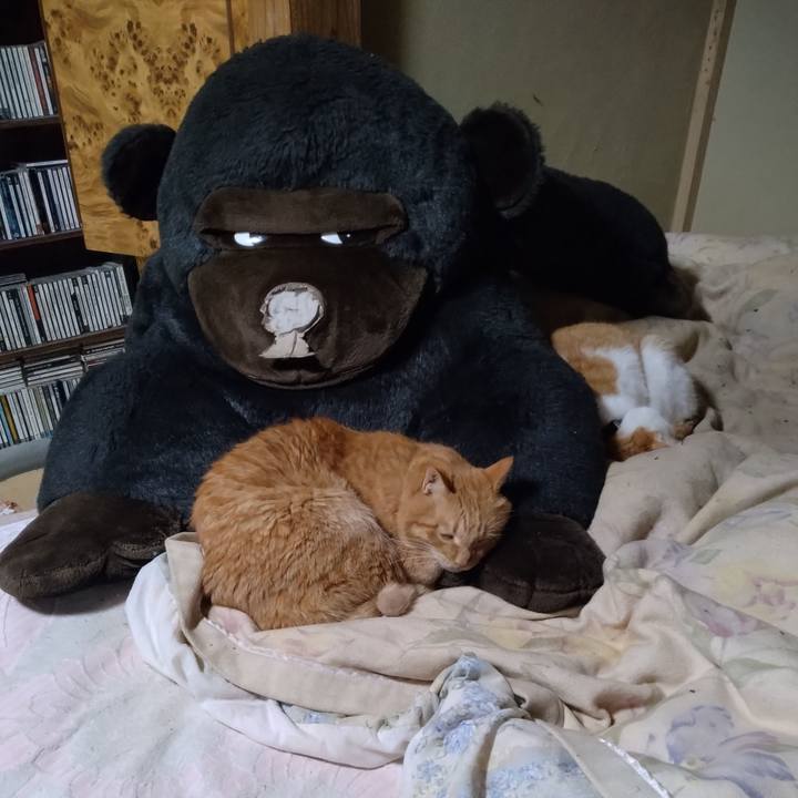 4c73b477 a66f 4c21 9b59 c167a228de72 1764841641155