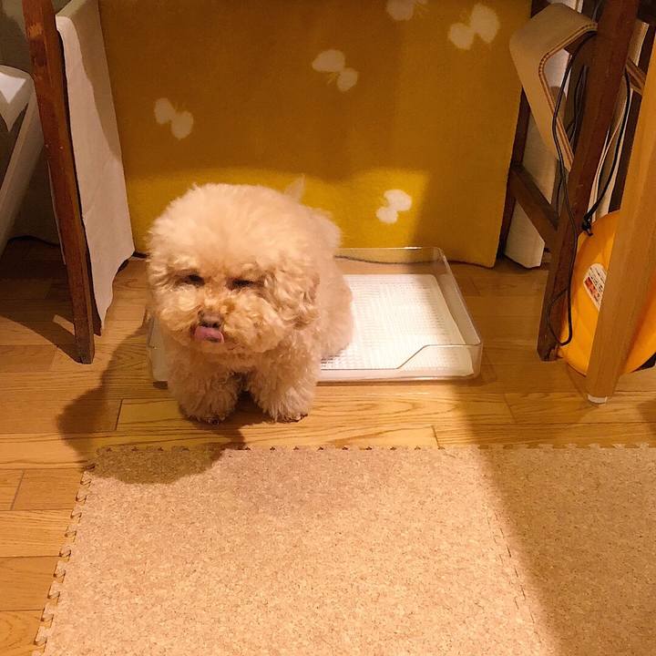 4c73bdb4 10d8 4b65 a210 a179351e9542 1512164067287