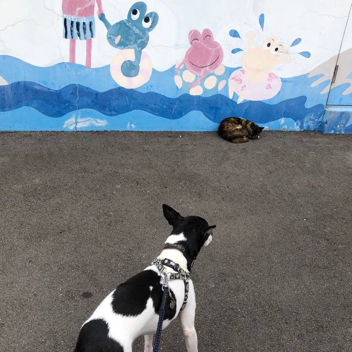 4c73bec2 5399 4d69 9f0e 5eefc6a98918 1537009225909