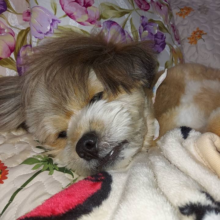 4c73db0f 3c7a 4a3a b2b7 979d6f7c1ead 1630248600528