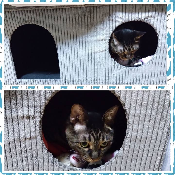 4c73ede7 4e62 489a b4bb 79719a970501 1760010958678