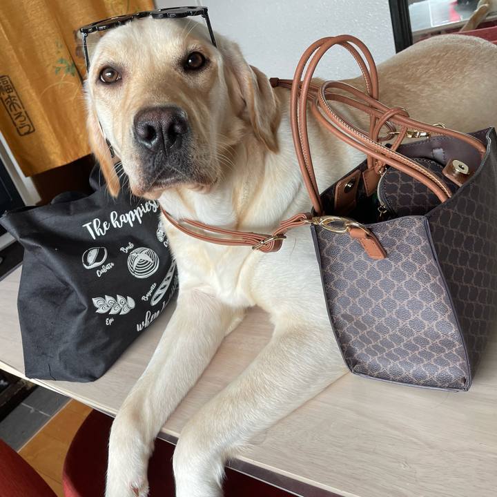 4c7400fd 69bc 4f59 825d 903d1b2cc58f 1661917324515