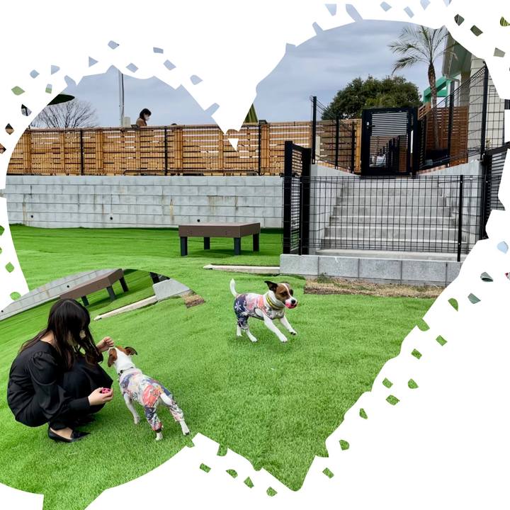 4c7402bf a24c 4698 a2d8 f401b9bb8361 1647762290811