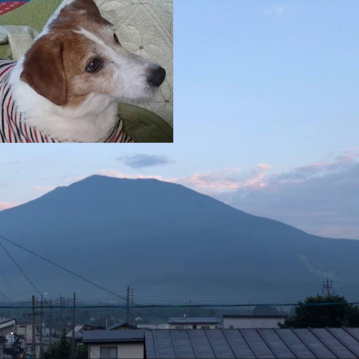 4c74038a 6179 4477 9b25 656b69b37e15 1564778730645