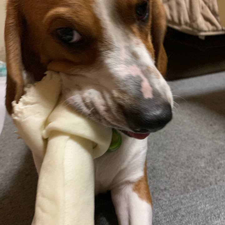 4c7413f9 36b0 4fe9 9214 4f60cb27a6c9 1545399548921