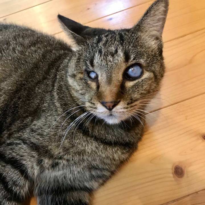 4c747824 3582 4d57 bd6f a72a3a5f6f8d 1601614343580