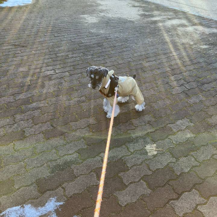 4c748063 5e7f 46ea 9c80 7a7e15d77429 1735613027684